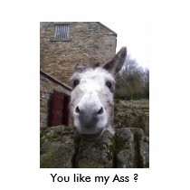 You like my Ass ? t-shirts