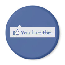 You Like This Funny Facebook Magnet