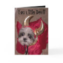 You Little Devil cards