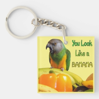 You Look Like a Banana Senegal Parrot and Fruit