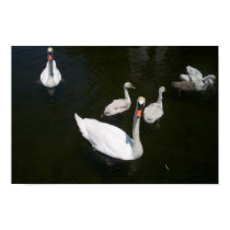 "You lookin' at me?" Swan posters