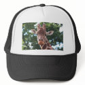You looking at me....... hats