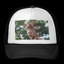 You looking at me....... hats