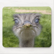 You looking at me? mouse mats