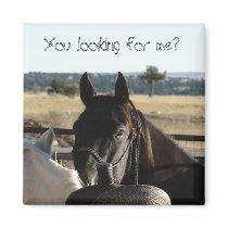 You looking for me? magnets by Killlashandra You looking for me? magnets