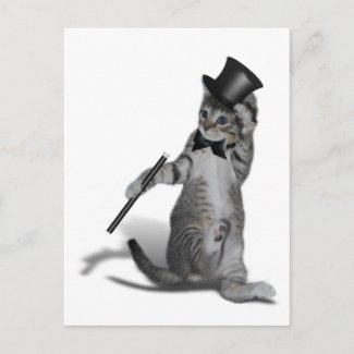 You make me feel like Dancing! Tap Dancing Cat postcard