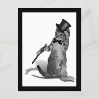 You make me feel like Dancing! Tap Dancing Cat postcard