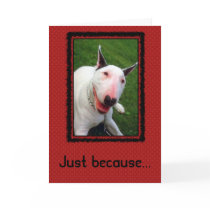 You Make Me Smile cards by ironydesignphotos You Make Me Smile cards