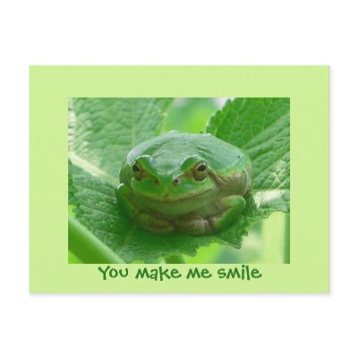 You make me smile - green frog postcards by Rainmountain