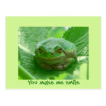 You make me smile - green frog postcards