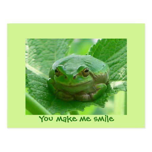 You make me smile - green frog postcards