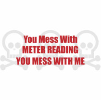 You Mess With Meter Reading You Mess With Me photo sculptures