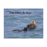 You Otter be here Post Card