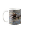 You Otter Be in Pictures mugs by dangerphoto You Otter Be in Pictures mugs