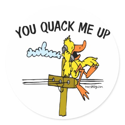 You Quack Me Up Round Sticker by ironydesigns