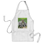 You’re telling me I am a dog in a squirrel’s body Aprons