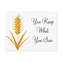 You Reap What You Sow Wheat Postcard by victornotvictim You Reap What You Sow Wheat Postcard