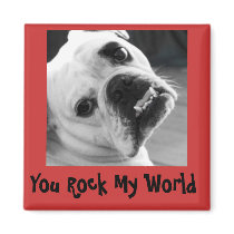 You Rock My World Magnet