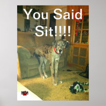 You Said Sit!!!! Poster