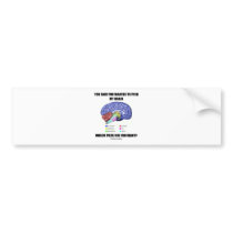 You Said You Wanted To Pick My Brain (Anatomy) Bumper Stickers
