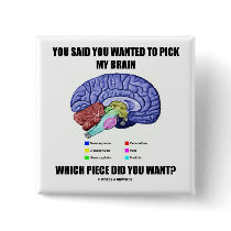 You Said You Wanted To Pick My Brain (Anatomy) Buttons