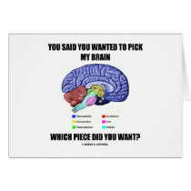 You Said You Wanted To Pick My Brain (Anatomy) Greeting Cards