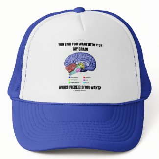 You Said You Wanted To Pick My Brain (Anatomy) hat
