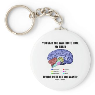 You Said You Wanted To Pick My Brain (Anatomy) keychain