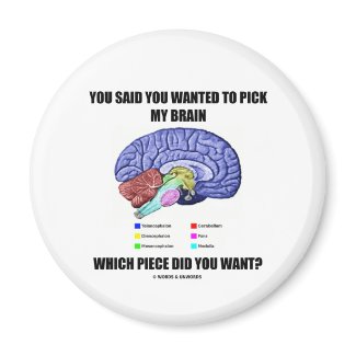 You Said You Wanted To Pick My Brain (Anatomy) magnet