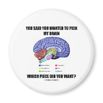 You Said You Wanted To Pick My Brain (Anatomy) Magnets