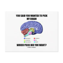 You Said You Wanted To Pick My Brain (Anatomy) Post Cards