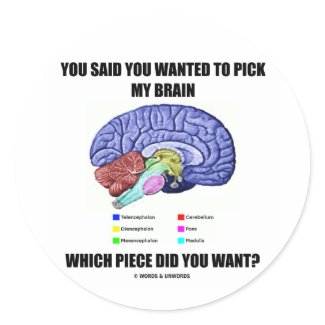 You Said You Wanted To Pick My Brain (Anatomy) sticker