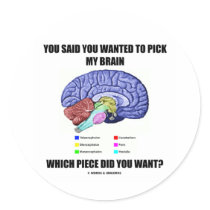 You Said You Wanted To Pick My Brain (Anatomy) Round Stickers