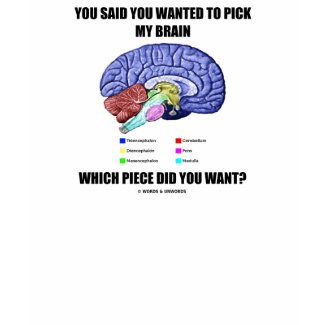 You Said You Wanted To Pick My Brain (Anatomy) shirt