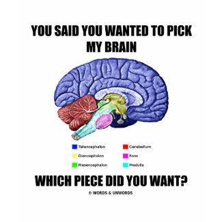 You Said You Wanted To Pick My Brain (Anatomy) shirt