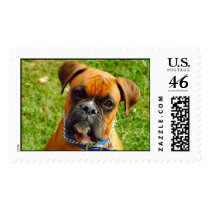 You talkin to Me postage