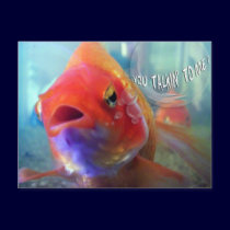 You Talkin' to Me? postcards by 2LPZstudio You Talkin' to Me? postcards