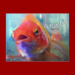 You Talkin' to Me? postcards