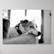 You Talkin' To Me? Print