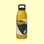 "You Talkin' To Me?!" water bottle water bottles