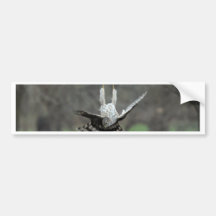 You turn me upside down. bumper sticker