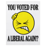 You voted for a liberal again!? full color flyer