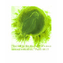 you will be like a dove .psa 68 t-shirts by kalliela you will be like a dove .psa 68 t-shirts