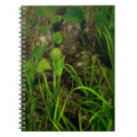 You Will Never Find Me Notebook