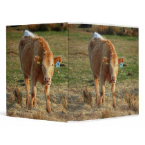 You would make this face if you ate hay all day! binders by ERBazor You would make this face if you ate hay all day! binders