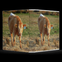 You would make this face if you ate hay all day! binders