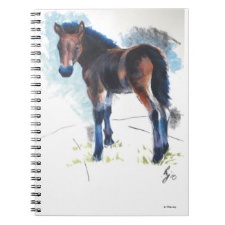 Yound foal painting notebook