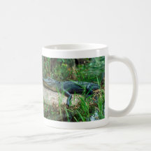 Young Alligator Mug