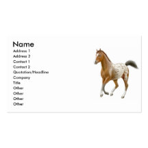 Young Appaloosa Horse Business Card