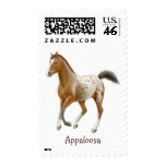 Young Appaloosa Horse Postage